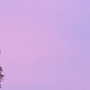 Meet your Posher, Joanna